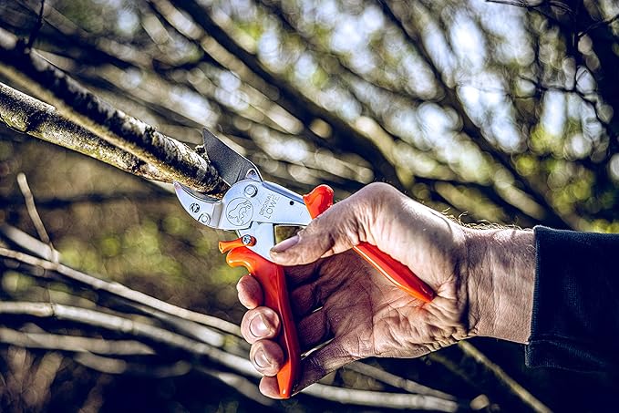 Original LÖWE 10 Professional Anvil Pruning Shears 10.107 with Bypass Geometry - Innovative Sharp Shears with Ergonomic Handles and Non-Stick Steel Blade for Pruning Work in Orcharding