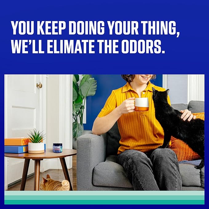 Ozium 4.5 Oz. Odor Eliminating Gel for Homes, Cars, Offices and More, Outdoor Essence, 4 Pack