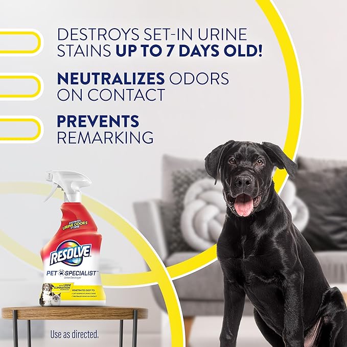 Resolve Pet Specialist Urine Destroyer Spray – Pet Stain & Odor Remover, Carpet Cleaner Solution for Cat and Dog Urine, 22 Fl Oz
