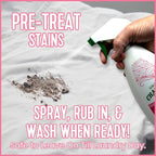 Charlie’s Soap Laundry Pre-Spray Stain Remover (32 fl oz), Natural Laundry Pretreat and Stain Remover (Pack of 1)