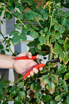 Corona Tools Bypass Pruner – Forged Steel 1″ Capacity Hand Pruning Garden Shears with Lightweight Aluminum Handles