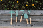 Barebones Triangle Hoe - Stainless Steel Blade Japanese Gardening Tools for Weeding Long Handle and Hand Hoe (Ash/Mint)