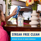 Aunt Fannie's Glass & Window Cleaning Vinegar Spray, Natural Streak-Free Spray, 16.9 Ounces (Pack of 6)