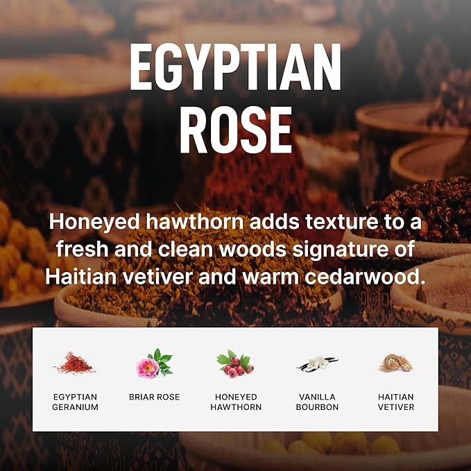 Laundry Sauce - Laundry Fabric Softener (Egyptian Rose) Luxury Fragrance, Softens & Preserves Fabric, Reduces Wrinkles, 19 Fl Oz