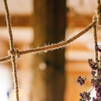 5mm x 100 Feet Natural Jute Rope, Twine for Gardening Tomato Climbing Plant Tie Floristry Crafts Gift Wrapping Packing Decor