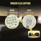 ASPECTEK Sticky Dome™ Flea Trap, Odorless Glue Trap with 2 Sticky Discs, Effective Bed Bug Killer and Flea and Tick Treatment, Indoor Insect Trap for Bugs, 1 Pack in White and Light Gray
