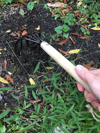 Garden Guru Hand Rake Cultivator Claw Soil Tiller - Military Grade Steel - Rust Resistant - 5 Tine Japanese Ninja Claw - Comfortable Wood Handle - Perfect Pulverized and Aerated Soil (4 Pack)