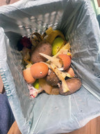 bioMat AirBox Compost Bin for Countertop with 2.6 Gallon Compostable Trash Bags (125 Bags), BPI Certified