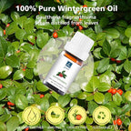 Wintergreen Essential Oil - Pure Organic Wintergreen Oil for Aromatherapy, Diffusers, Spray, Skin & Hair Care, Massage, Cleaning - 10mL