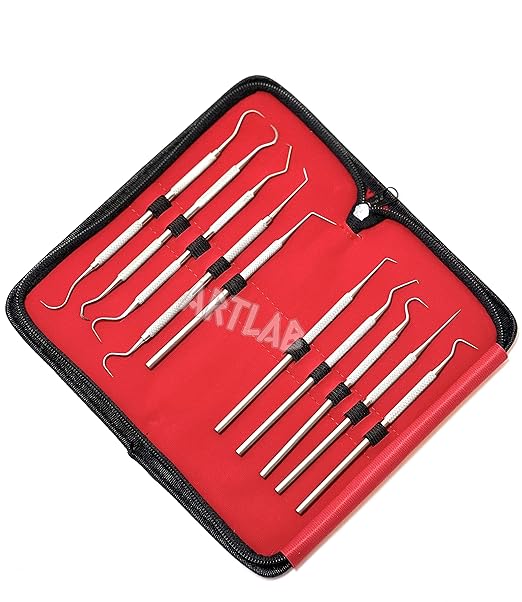 Premium Set of 12 Stainless Steel Precision Micro Probe Set Combo-Straight, Single, Short Double, Long Double, Triple and Hook Tips -Pick Tool Set 5.5"(14CM) (Set of 10 Each)