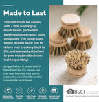 Jungle Culture Firm Bristle Replacement Brush Heads for Eco Dish Brushes • Wooden Kitchen Washing Up Brush Heads Pack of 4 • Interchangeable Bristle Refills • Dish Scrubbers • Zero Waste Cleaning