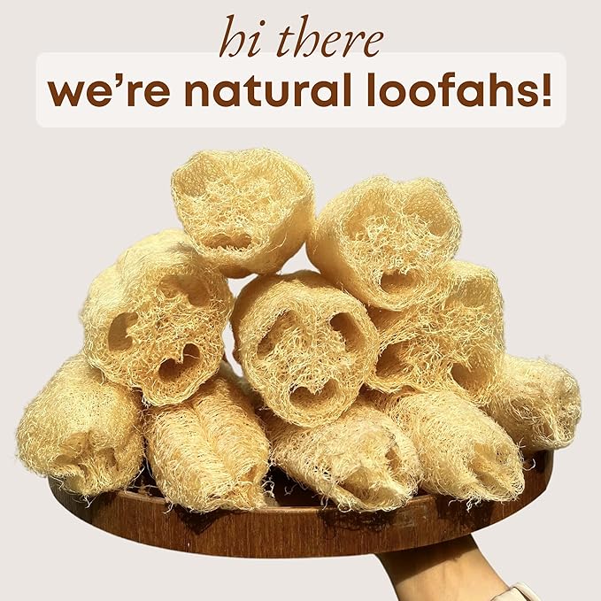 Natural Loofah Dish Sponge (Pack 4) - Vegetable Scrubber for Kitchen - 100% Biodegradable Compostable Dishwashing Scouring Pad Zero Waste