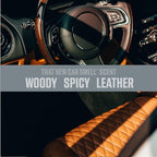 Ozium 4.5 Ounce 4 Pack Odor Eliminating Gel for Homes, Cars, Offices and More, New Car Smell