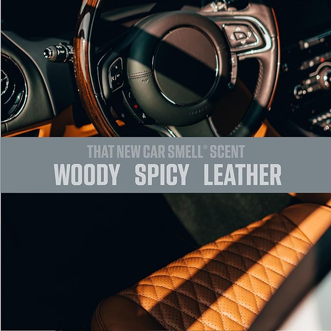 Ozium 4.5 Ounce 4 Pack Odor Eliminating Gel for Homes, Cars, Offices and More, New Car Smell