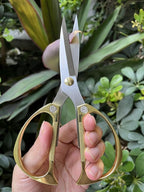 Indoor Plant Shears and Garden Scissors, Houseplant Shears Made of Japan SK5 Stainless Steel, Flowers Herbs and Plant Cutters, Clippers, Trimmers, Loppers, Bonsai Plant Pruning Scissors