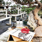 Starter Bonsai Tool Kit - Survival Guide + Set Includes: Butterfly Pruning Shears, Bottle Uncle Bill's Fertilizer, 2 Ounce Frit, Aluminum Wire, Genuine Chinese Mud Figurine - Bamboo Case
