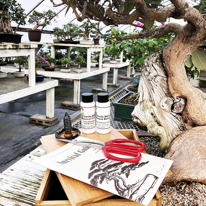 Starter Bonsai Tool Kit - Survival Guide + Set Includes: Butterfly Pruning Shears, Bottle Uncle Bill's Fertilizer, 2 Ounce Frit, Aluminum Wire, Genuine Chinese Mud Figurine - Bamboo Case