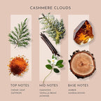 Scent Better Cashmere Clouds Aroma Essential Oil Blend: an Aromatherapy Blend of Cedar, Vanilla, and Amber for Ultrasonic Diffusers & Nebulizers (2 Fl Oz, 60 mL)