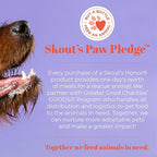SKOUT'S HONOR Severe Mess, Stain and Odor Remover - Advanced Formula for Tackling the Worst Dog Messes, Eco-Friendly Formula for Carpets and Home, 35oz