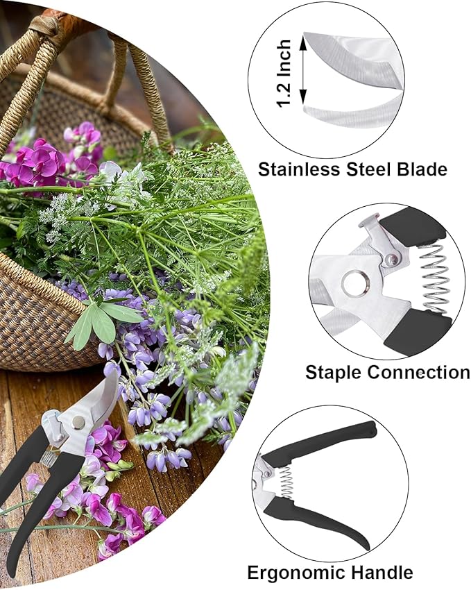Pruning Shears for Gardening, 2 Pack Garden Scissors for Cutting Fresh Flowers, Floral Clippers for Plants, Fruits (Black)
