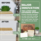 Aheroi Natural Dish Sponge, 32 Count FSC Certified Plant-Based Biodegradable Compostable Kitchen Sponges for Dishes Bulk, Organic Eco Friendly Cleaning Sponge for Bathroom, Household, Non Scratch
