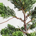 Wazakura Annealed Copper Bonsai Training Wire Made in Japan, Rust Resistant Outdoor Plant Cable (95.1 ft/29 m roll) - 1.2mm, Copper Wire