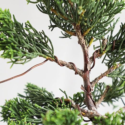 Wazakura Annealed Copper Bonsai Training Wire Made in Japan, Rust Resistant Outdoor Plant Cable (95.1 ft/29 m roll) - 1.2mm, Copper Wire