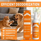 Stain & Strong Odor Eliminator, Pet Odor Eliminator for Strong Odor, Carpet Stain Remover for Cat, Dog,Furniture, Beds