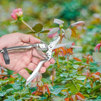 Pruning Shears Set of 3 – SK5 Steel Hand Pruners & Garden Clippers with Non-Slip Handle, Bonsai Shears for Fruit Trees, Flowers & Small Plants