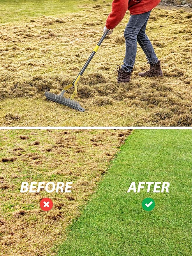 Thatch Rake, 2-in-1 Lawns Manual Dethatcher with Adjustable Head, 70" Heavy Duty Metal Dethatching Rake Garden Tools, 19-Tooth Sharp Blade for Yard Dead Grass, Moss Removal, Soil Loosening