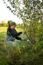 Hooyman Extendable Tree Saw with Compact Design, Detachable Handsaw and Telescoping Pole, No-Slip H-Grip, Impulse Hardened Teeth, and Wrist Lanyard for Tree Trimming, Hunting, Camping, and Outdoors