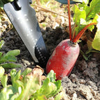 Gardening Shovel Tool, LRLXE Heavy Duty Stainless Steel Garden Transplant Shovel, Root Cutter, All-Purpose Small Hand Shovel with Serrated Edge for Digging and Transplanting(Red)