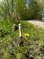 Dewit Rock'n Root Trowel, Garden Tool for Roots and Planting