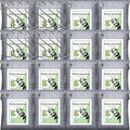 Activated Charcoal Odor Absorber for Strong Odor in Basement, Cars, Closets, Smoke, Shoes. 16 Pack Bamboo Charcoal Air Purifying Bags Deodorizer Odor Eliminator for Home