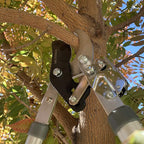 MLTOOLS Ratcheting Extendable Bypass Lopper for Gardening - Heavy Duty Ratchet Lopper 39½" Extendable Long Handle – Chops Through 1-3/4” thick Branches – Ideal for All Gardening Enthusiasts - L8230