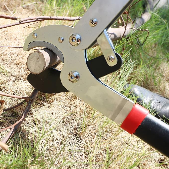 GARTOL 29" Heavy Duty Anvil Lopper, 2-Inch Cutting Capacity Tree Branch Cutter with Compound Action, Effortless Power Loppers for Hardwood & Dry Branches, Ergonomic Non-Slip Handles