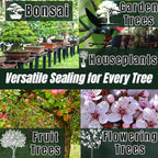New Bonsai Pruning Cutting Sealer 100g Made in Japan