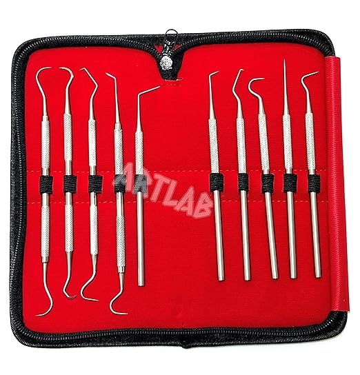 Premium Set of 12 Stainless Steel Precision Micro Probe Set Combo-Straight, Single, Short Double, Long Double, Triple and Hook Tips -Pick Tool Set 5.5"(14CM) (Set of 10 Each)