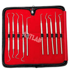 Premium Set of 12 Stainless Steel Precision Micro Probe Set Combo-Straight, Single, Short Double, Long Double, Triple and Hook Tips -Pick Tool Set 5.5"(14CM) (Set of 10 Each)