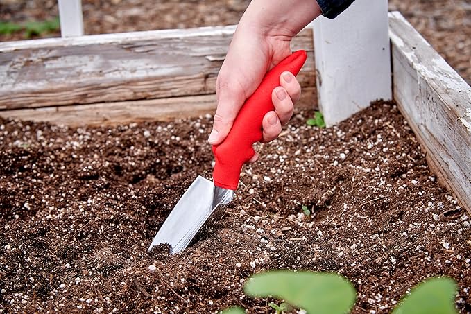 Corona CT 3010I Trowel