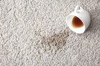 Spotzee Carpet Cleaner - Remove Anything Tracked Onto Carpet, spot cleaner, 32oz. (Pack of 2)