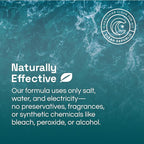 Clean Republic All-Purpose Cleaner, Daily Use Cleaning Spray for Kitchens, Bathrooms, and More, 32 Fluid Ounce Bottle, 4-Pack