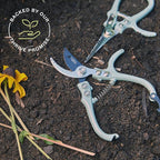 Modern Sprout Hand Pruners & Shears Set - Lightweight Gardening Tools W/Easy Lock - Sharp Carbon Steel Blades -Rust Resistant Scissors for Herbs, Flowers - Reusable Holster - Ocean