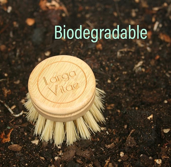 6 pcs Wooden Dish Brush Replacement Heads Made of Renewable Bamboo Wood and Natural Bristle Fiber, Durable, Long Lasting (Tampico Fiber)