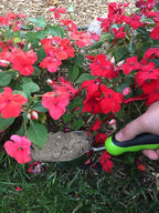 Garden Guru Super Strong Garden Scoop Trowel Shovel Transplanter - Stainless Steel - Rust Resistant - Ergonomic Grip - Perfect Hand Shovel for Gardening Transplanting and Digging (4 Pack)