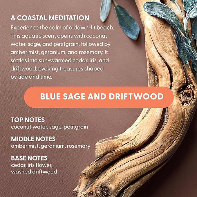 Luxury Laundry Pods - Plant-Based Detergent with Premium Fragrance | Biodegradable PVA Film | Made in USA | 60 Count (Blue Sage & Driftwood)