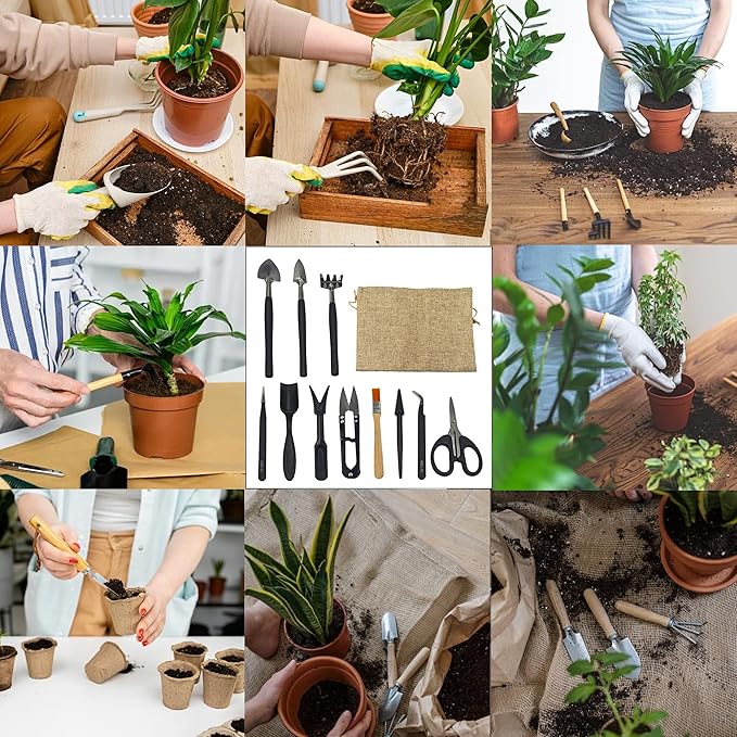 13Pcs Succulent Tools Set Mini Garden Tools Kit for Indoor Bonsai Cactus Care with Pruning Shears Scissors Transplanting Tools for Houseplant