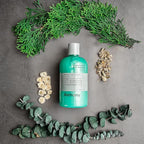 Anthony Mens Body Wash and Shampoo: Invigorating Rush 2-In-1 Liquid Gel Soap & Hair Shampoo, Pine Wood Scent, Hydrating with Eucalyptus, Canadian Balsam, Birch Leaf, Charcoal, Sea Kelp, 12 Fl. Oz