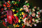 Felco F322 Pruning Snips – 9.84" Swiss-Made Garden Clippers with Curved Blade & Rounded Tip | Pruning Shears for Gardening | Garden Snips and Pruners with Carbon Steel Blade, Sap Groove