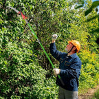 Outvita Manual Pole Saw, 26 Feet Extendable Tree Pruner with Knives and Storage Pocket, Sharp Steel Blade and Scissors High Branches Trimming for Pruning Palms and Shrubs